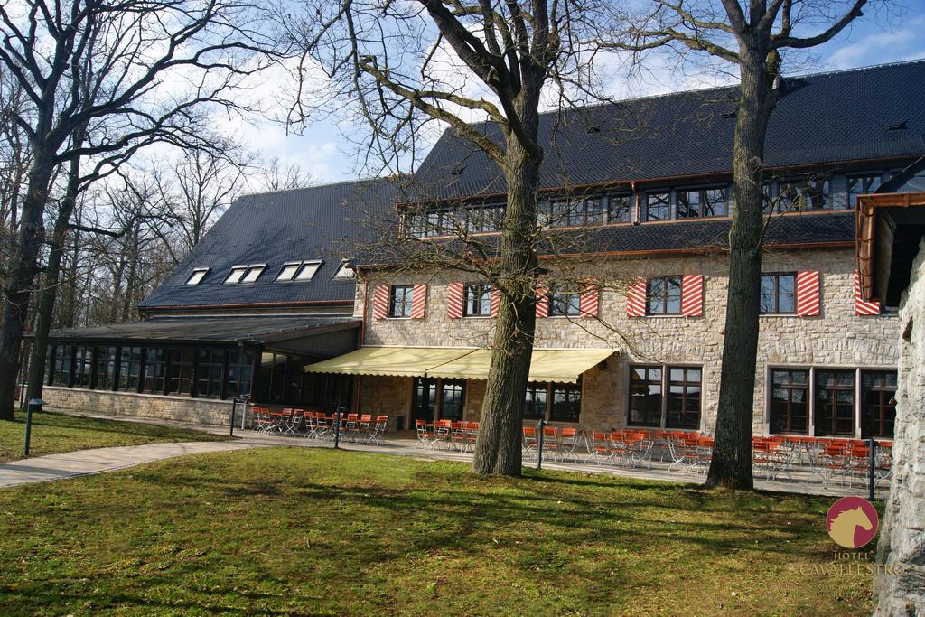Cavallestro Classic Kitzingen Exterior foto